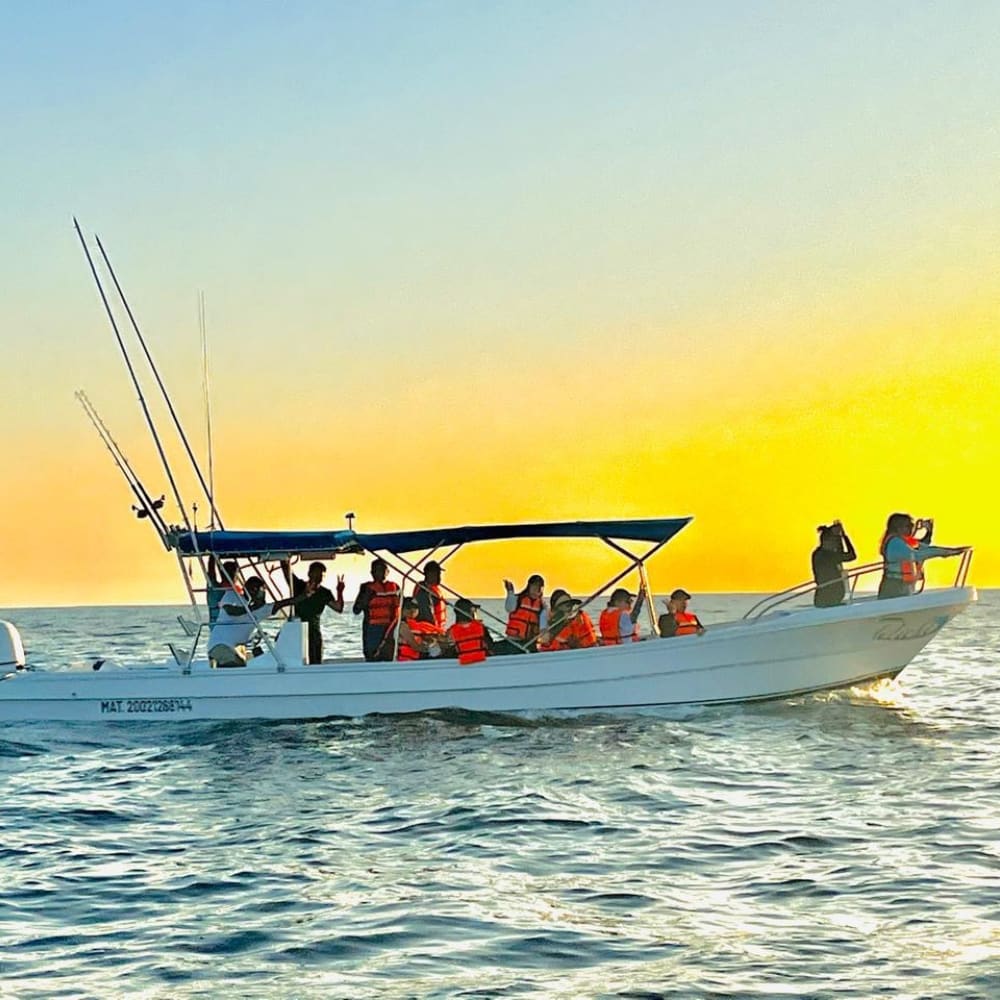 What to Do in Huatulco: The Best Tours and Activities for an Unforgettable Getaway