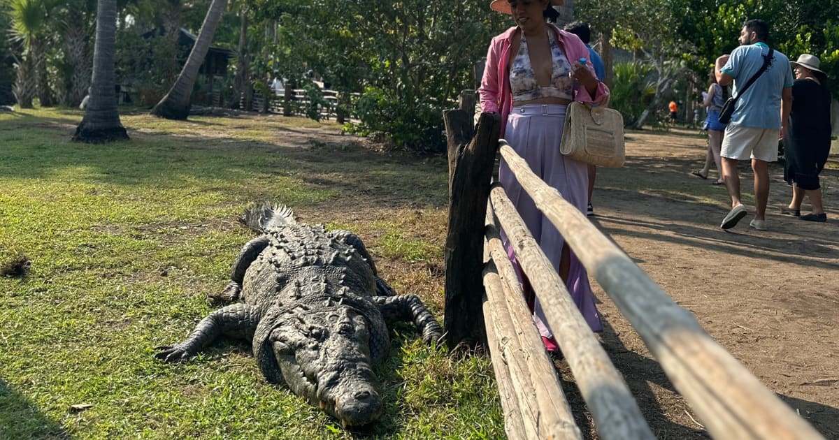 Ventanilla Ecotour with Wildlife and Coastal Towns: photo 2