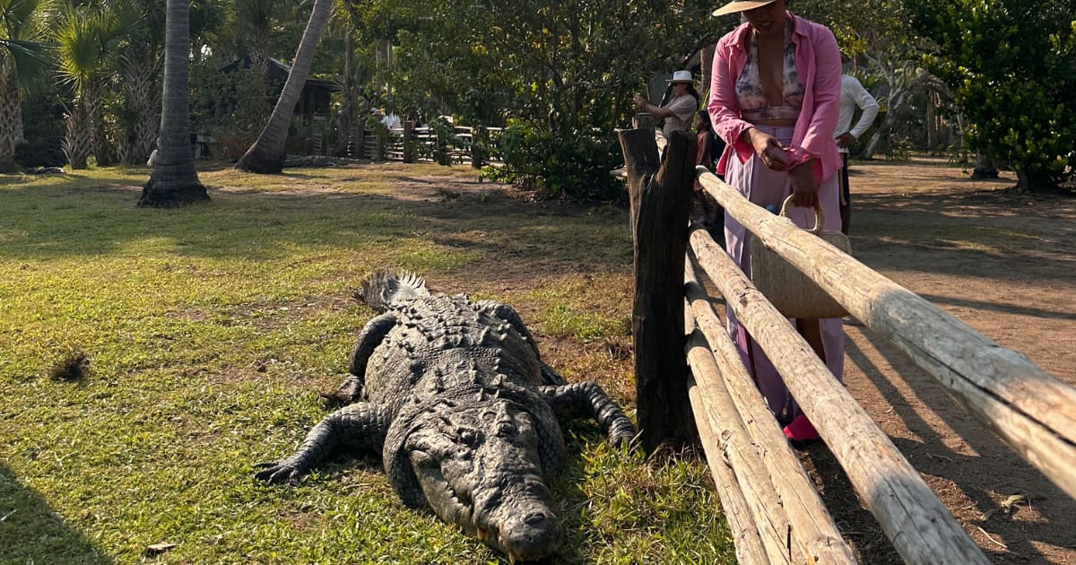 Ventanilla Ecotour with Wildlife and Coastal Towns: photo 3