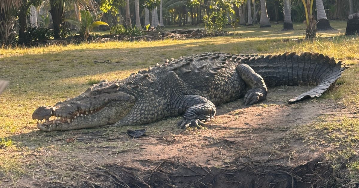 Ventanilla Ecotour with Wildlife and Coastal Towns: photo 11