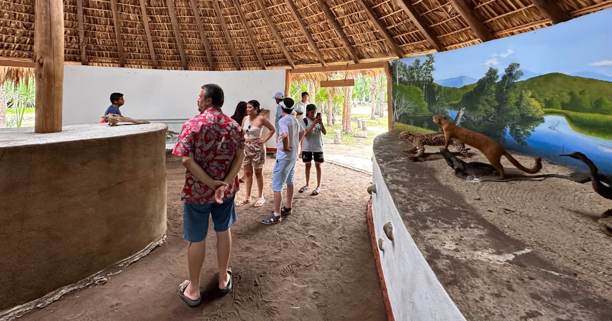Ventanilla Ecotour with Wildlife and Coastal Towns: photo 13