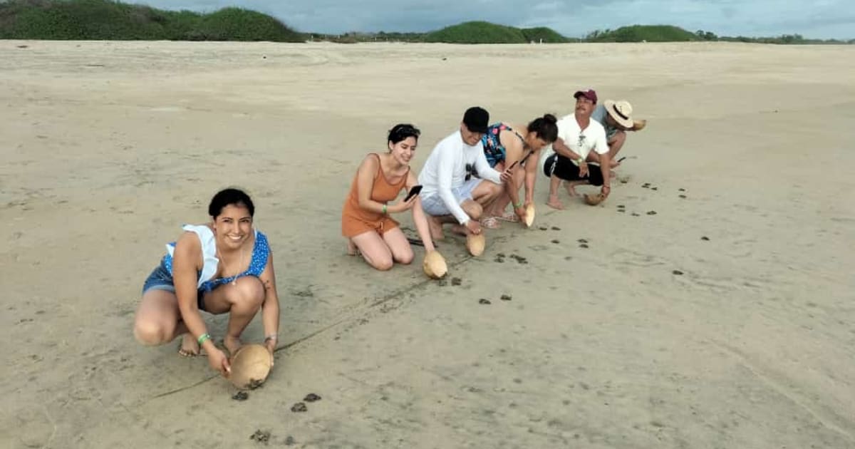Sea Turtle Release with Transportation Included: photo 2