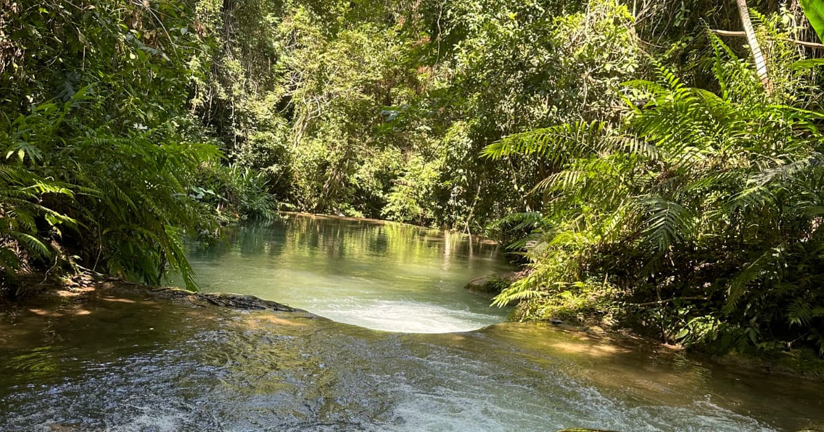 Llano Grande Waterfalls Tour with Buffet Lunch Included: photo 11