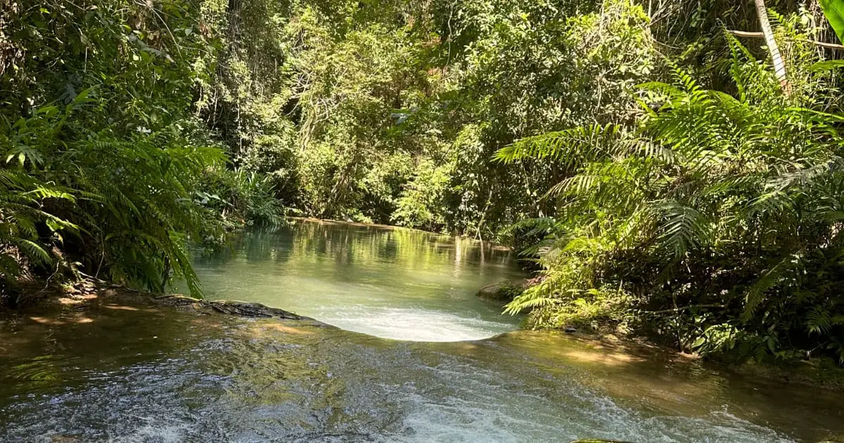 Llano Grande Waterfalls Tour with Buffet Lunch Included: photo 11