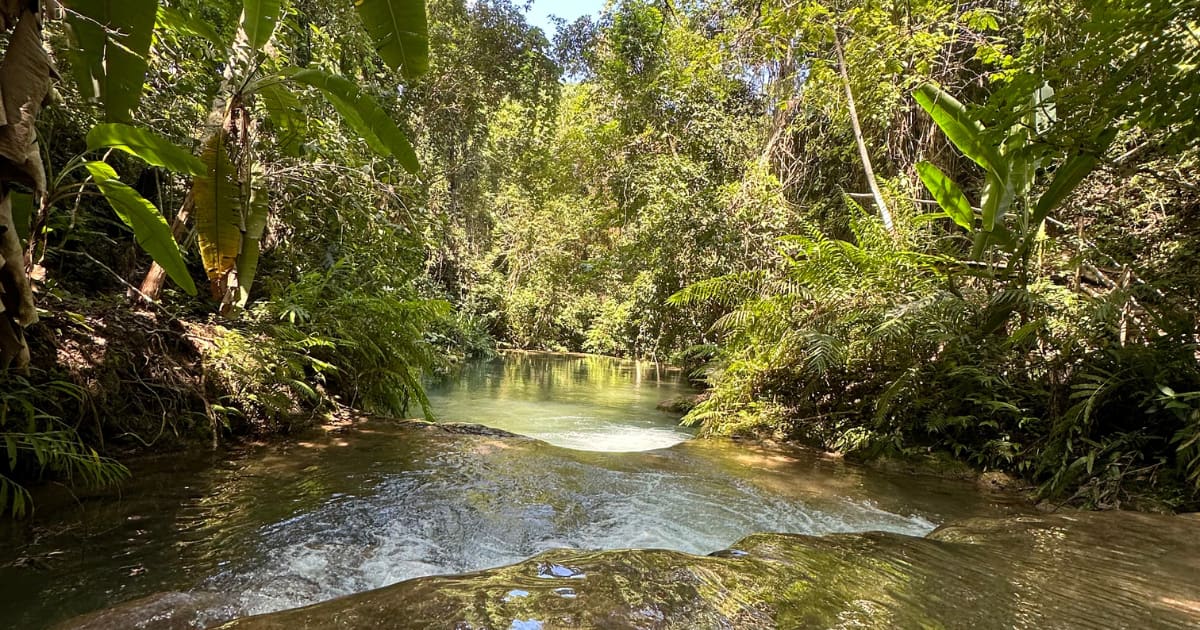 Llano Grande Waterfalls Tour with Buffet Lunch Included: photo 13