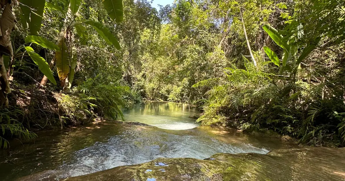 Llano Grande Waterfalls Tour with Buffet Lunch Included: photo 13