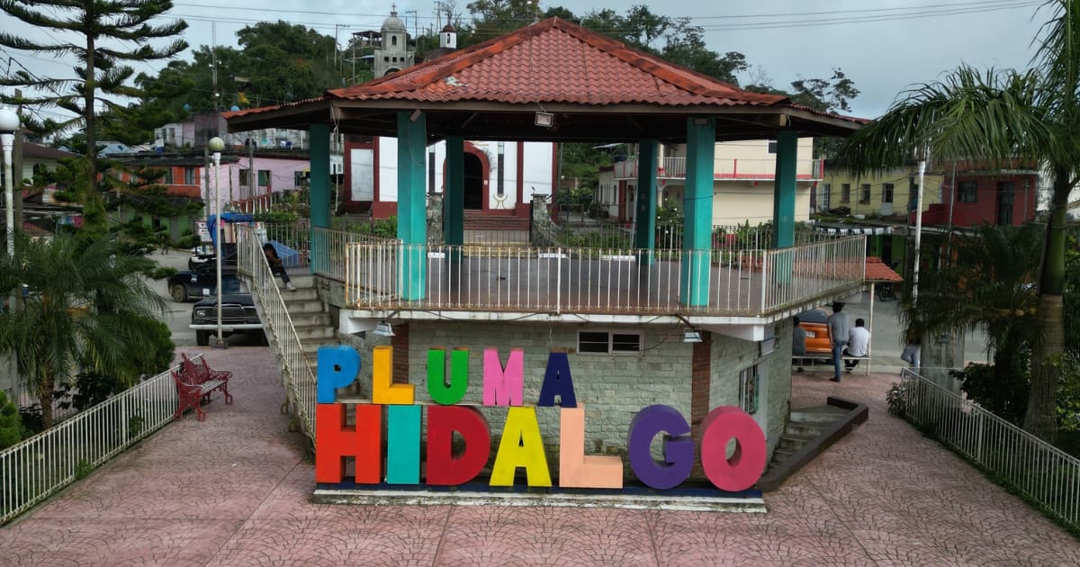 Pluma Hidalgo Coffee Tour with Transportation