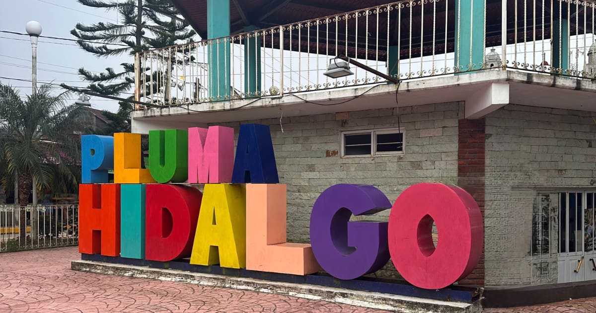Pluma Hidalgo Coffee Tour with Transportation: photo 2