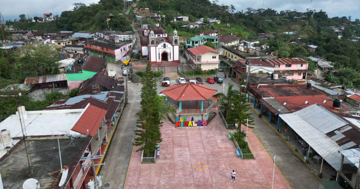 Pluma Hidalgo Coffee Tour with Transportation: photo 4