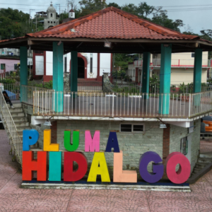 Tour del Café en Pluma Hidalgo con Transporte