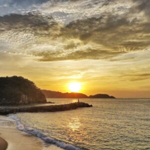 Amanecer con delfines en lancha privada