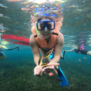 Tour 7 Bahías en Yate