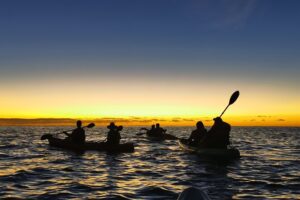 Tour Kayak al amanecer