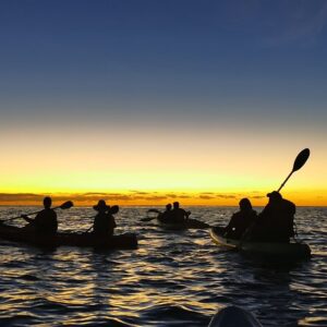 Tour Kayak al amanecer
