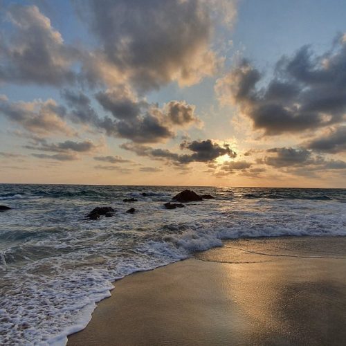 20210315-180543-largejpg (1)