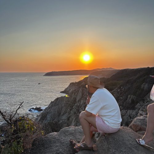 WhatsApp Image 2026-02-12 at 12.32.44 PM (1)